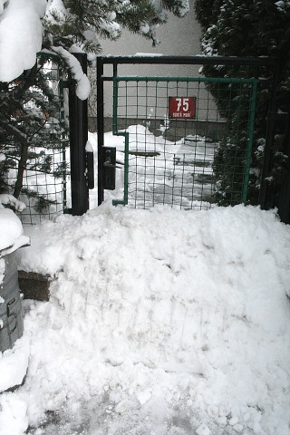 Masopust ve Svat M 24.2.2009