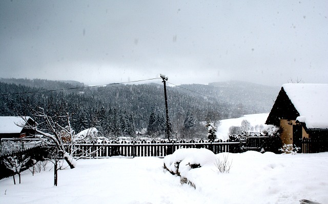 Masopust ve Svat M 24.2.2009