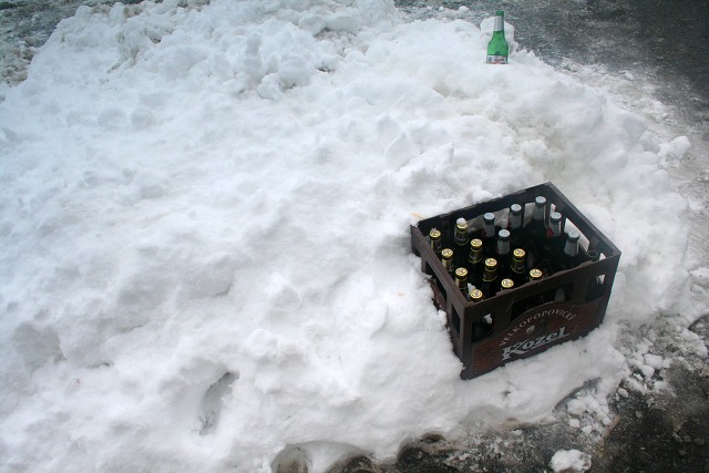 Masopust ve Svat M 24.2.2009