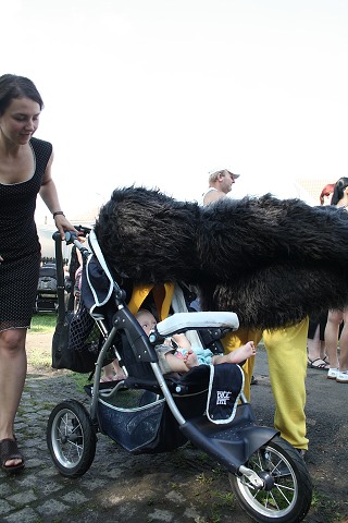 Pou kyn 27.7.2008