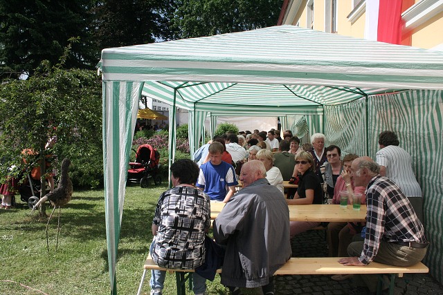 Oslavy - 470 let poven kyn na msteko