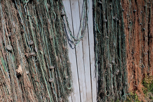 Rumunsko - delta Dunaje   17.-25.6.2011