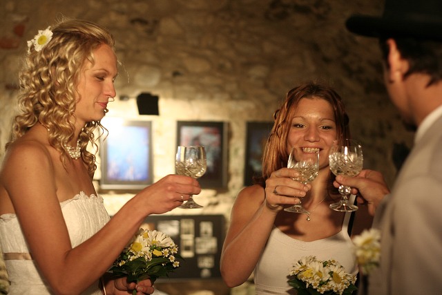Sokolc 20.6.2009