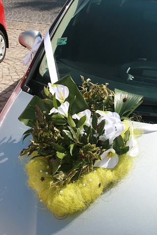 Svatba  Kerkovi ,Kalvarie estice-Volyn 24.4.2010