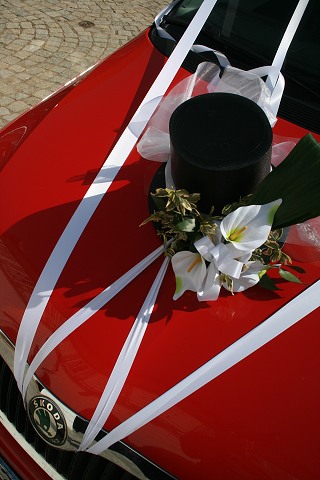 Svatba  Kerkovi ,Kalvarie estice-Volyn 24.4.2010