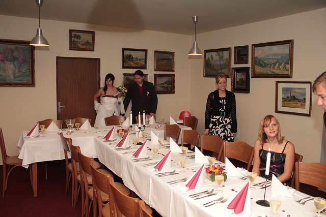 Svatba Koubkovi ,Strakonice 30.7.2010