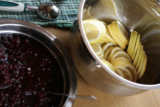 Svatba Mla a Vera Rypkovi  2.4.2010  Nahoany