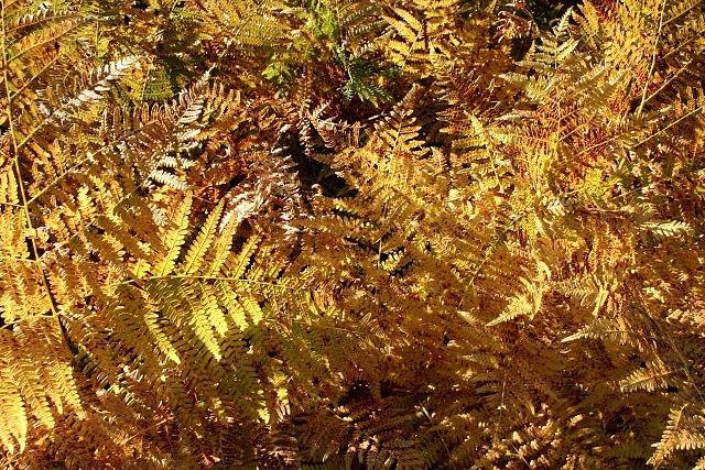 Odhalen informan tabule na Vnci  23.9.2007