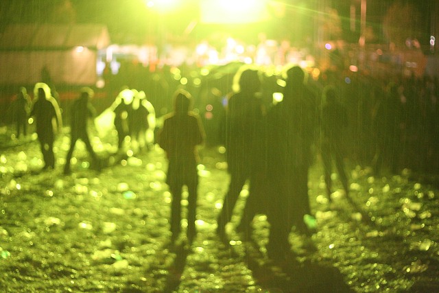 TRUTNOV OPEN MUSIC FESTIVAL 2008