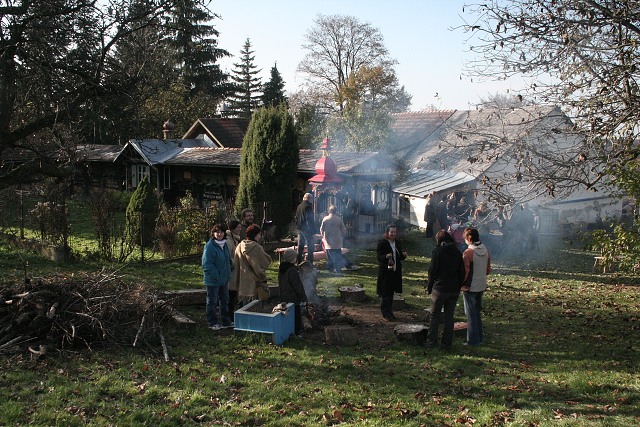 60. let vro krulovskho velna  1.11.2009