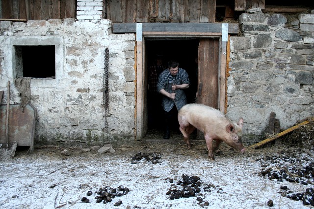 Prav jihoesk zabjaka ve Svat M 16.2.2008