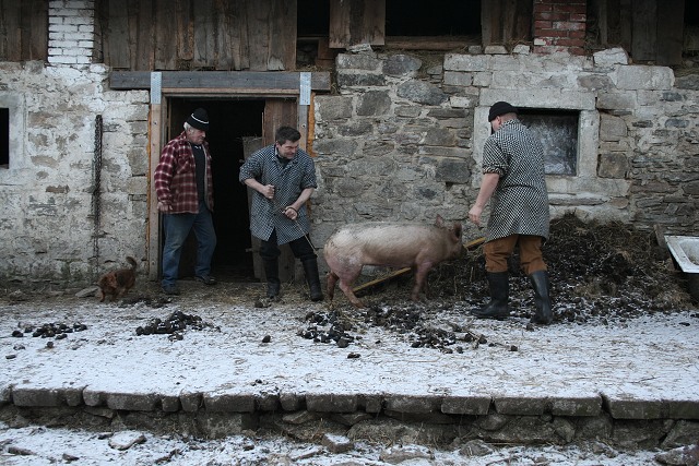 Prav jihoesk zabjaka ve Svat M 16.2.2008