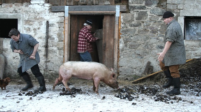 Prav jihoesk zabjaka ve Svat M 16.2.2008