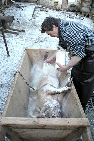 Prav jihoesk zabjaka ve Svat M 16.2.2008