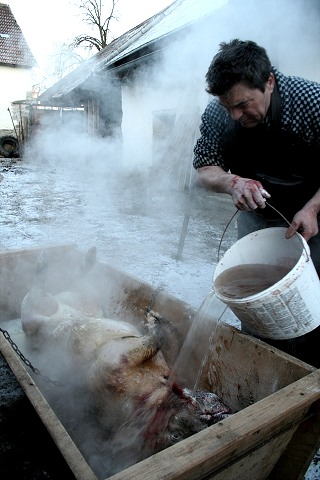Prav jihoesk zabjaka ve Svat M 16.2.2008