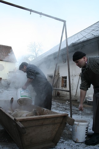 Prav jihoesk zabjaka ve Svat M 16.2.2008