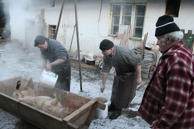 Prav jihoesk zabjaka ve Svat M 16.2.2008