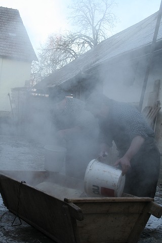 Prav jihoesk zabjaka ve Svat M 16.2.2008