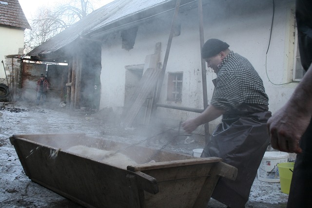 Prav jihoesk zabjaka ve Svat M 16.2.2008
