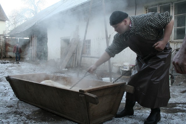 Prav jihoesk zabjaka ve Svat M 16.2.2008