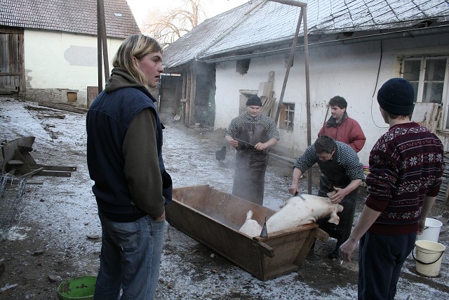 Prav jihoesk zabjaka ve Svat M 16.2.2008