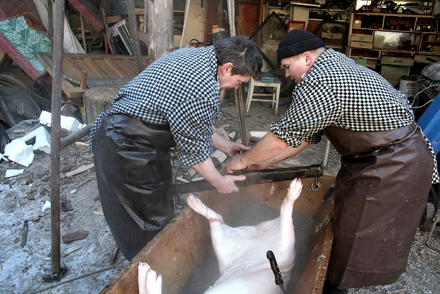 Prav jihoesk zabjaka ve Svat M 16.2.2008