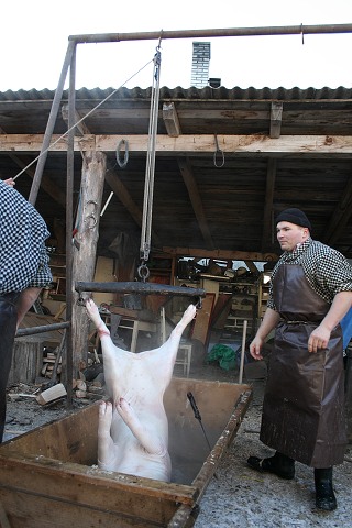 Prav jihoesk zabjaka ve Svat M 16.2.2008