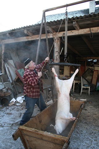 Prav jihoesk zabjaka ve Svat M 16.2.2008