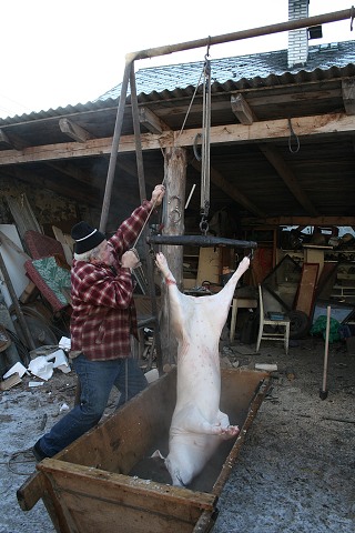 Prav jihoesk zabjaka ve Svat M 16.2.2008