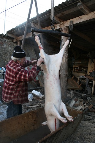 Prav jihoesk zabjaka ve Svat M 16.2.2008