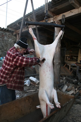 Prav jihoesk zabjaka ve Svat M 16.2.2008