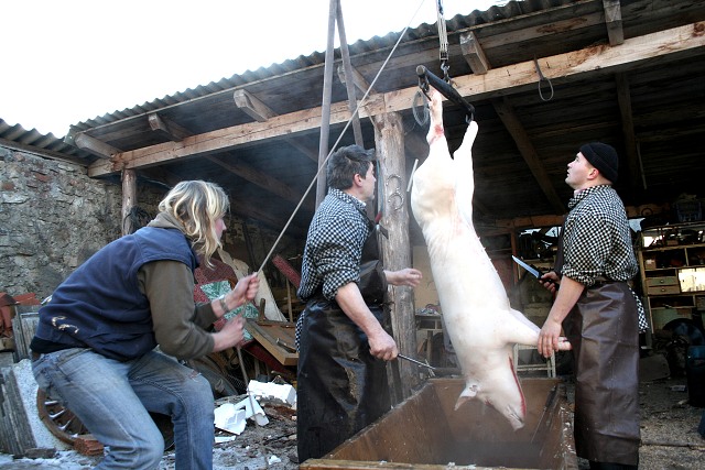Prav jihoesk zabjaka ve Svat M 16.2.2008
