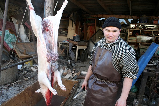 Prav jihoesk zabjaka ve Svat M 16.2.2008