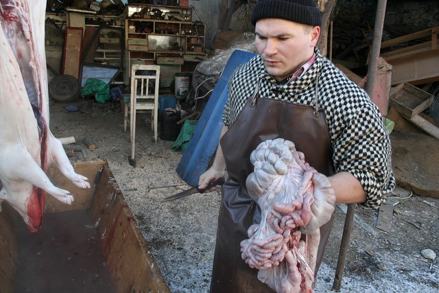 Prav jihoesk zabjaka ve Svat M 16.2.2008