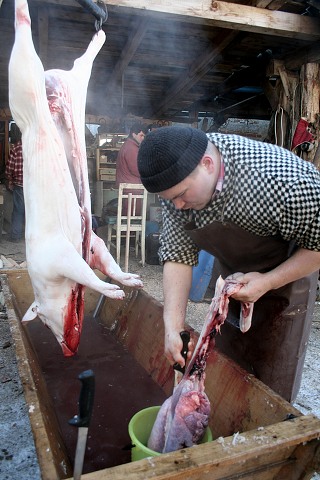 Prav jihoesk zabjaka ve Svat M 16.2.2008