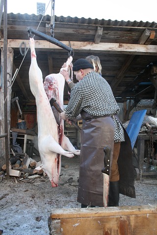 Prav jihoesk zabjaka ve Svat M 16.2.2008
