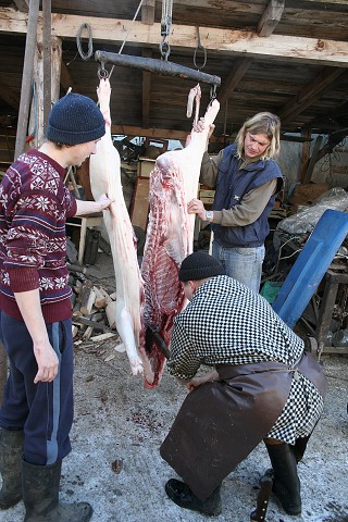 Prav jihoesk zabjaka ve Svat M 16.2.2008