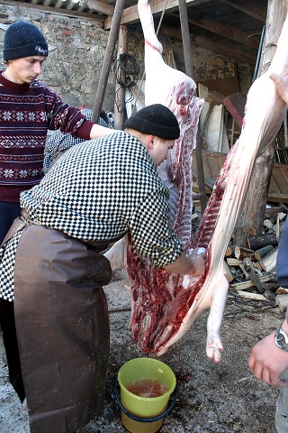 Prav jihoesk zabjaka ve Svat M 16.2.2008
