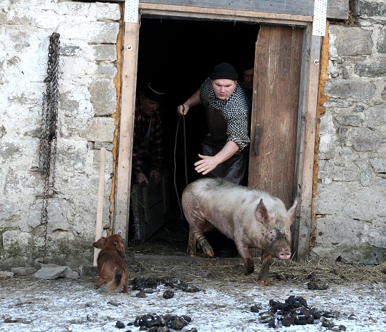 Prav jihoesk zabjaka ve Svat M 16.2.2008