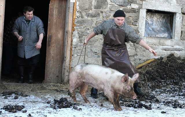 Prav jihoesk zabjaka ve Svat M 16.2.2008