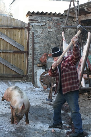 Prav jihoesk zabjaka ve Svat M 16.2.2008