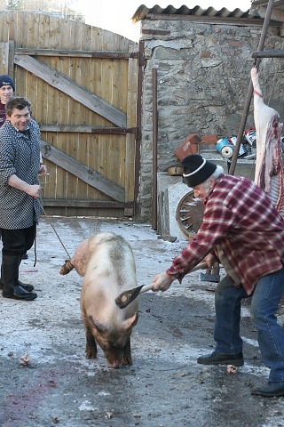 Prav jihoesk zabjaka ve Svat M 16.2.2008