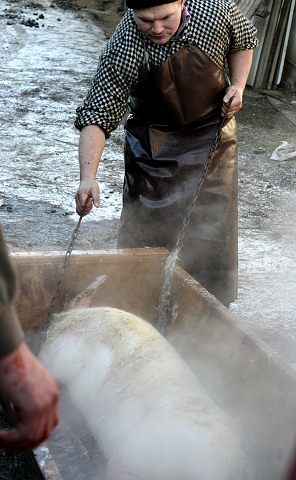 Prav jihoesk zabjaka ve Svat M 16.2.2008