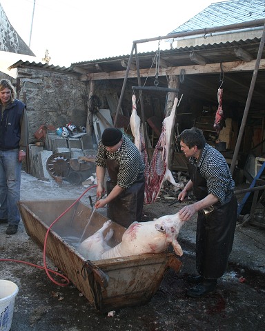 Prav jihoesk zabjaka ve Svat M 16.2.2008