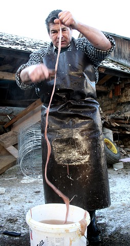 Prav jihoesk zabjaka ve Svat M 16.2.2008