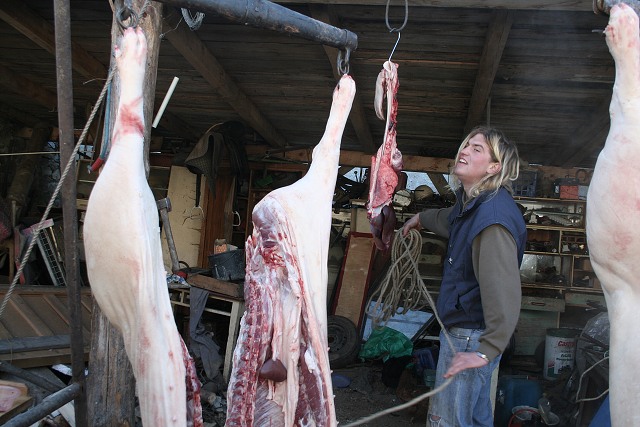 Prav jihoesk zabjaka ve Svat M 16.2.2008