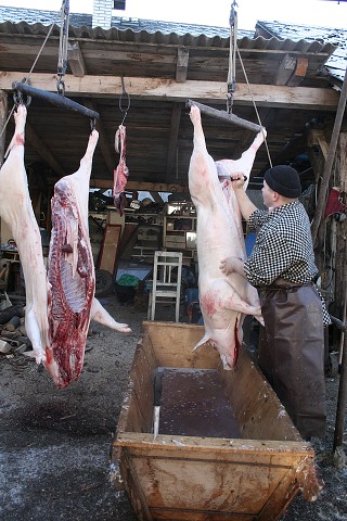 Prav jihoesk zabjaka ve Svat M 16.2.2008