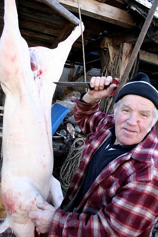 Prav jihoesk zabjaka ve Svat M 16.2.2008