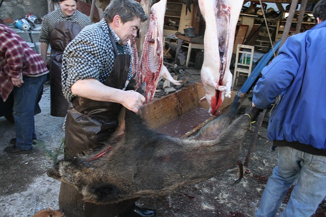 Prav jihoesk zabjaka ve Svat M 16.2.2008
