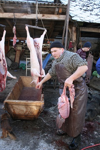 Prav jihoesk zabjaka ve Svat M 16.2.2008